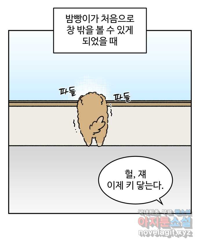 강아지는 멍멍하고 짖지 않아! 67화 - 밤빵이의 숙적 - 웹툰 이미지 11