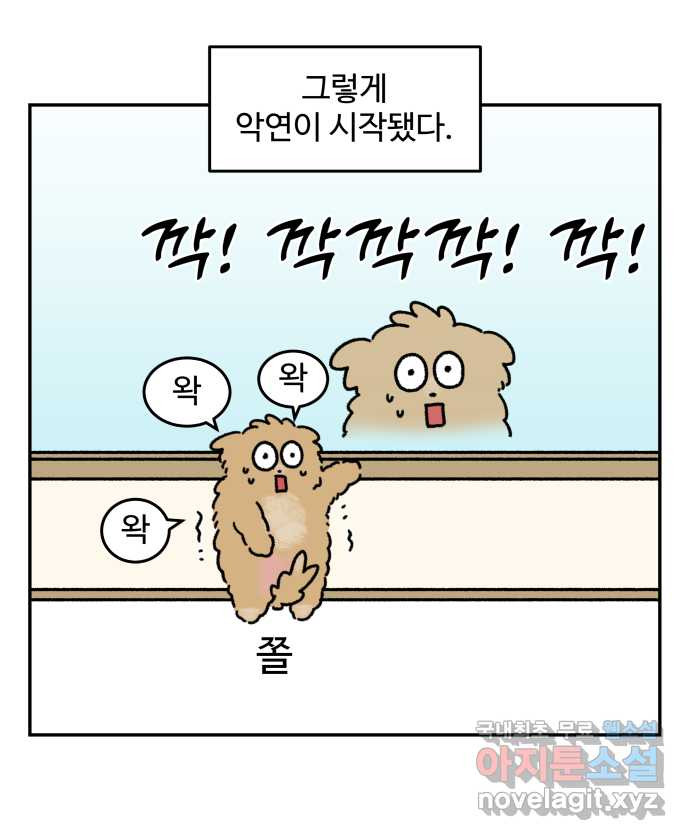 강아지는 멍멍하고 짖지 않아! 67화 - 밤빵이의 숙적 - 웹툰 이미지 13