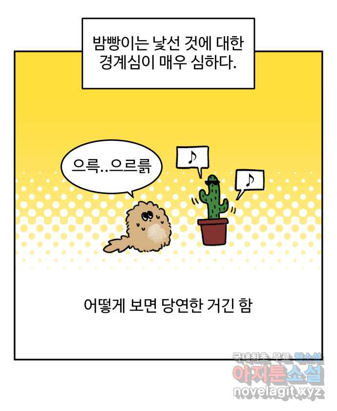 강아지는 멍멍하고 짖지 않아! 69화 - 사회화 시기 - 웹툰 이미지 2