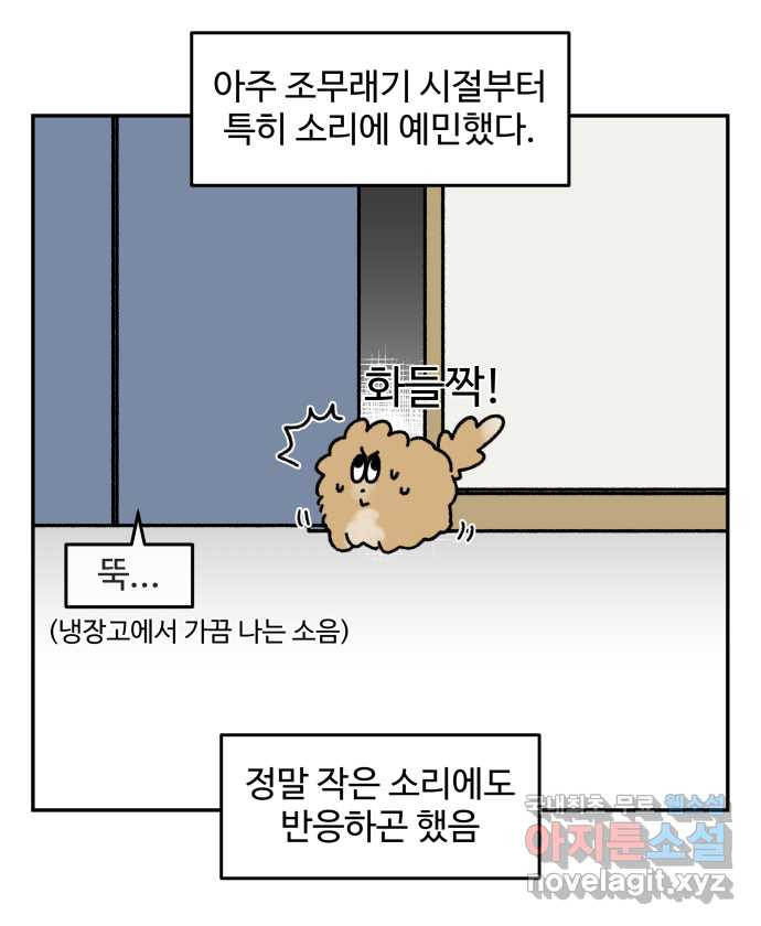 강아지는 멍멍하고 짖지 않아! 69화 - 사회화 시기 - 웹툰 이미지 3