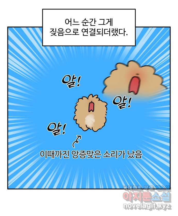 강아지는 멍멍하고 짖지 않아! 69화 - 사회화 시기 - 웹툰 이미지 5