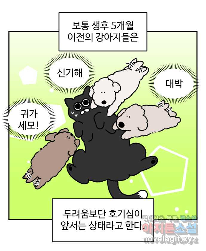 강아지는 멍멍하고 짖지 않아! 69화 - 사회화 시기 - 웹툰 이미지 9