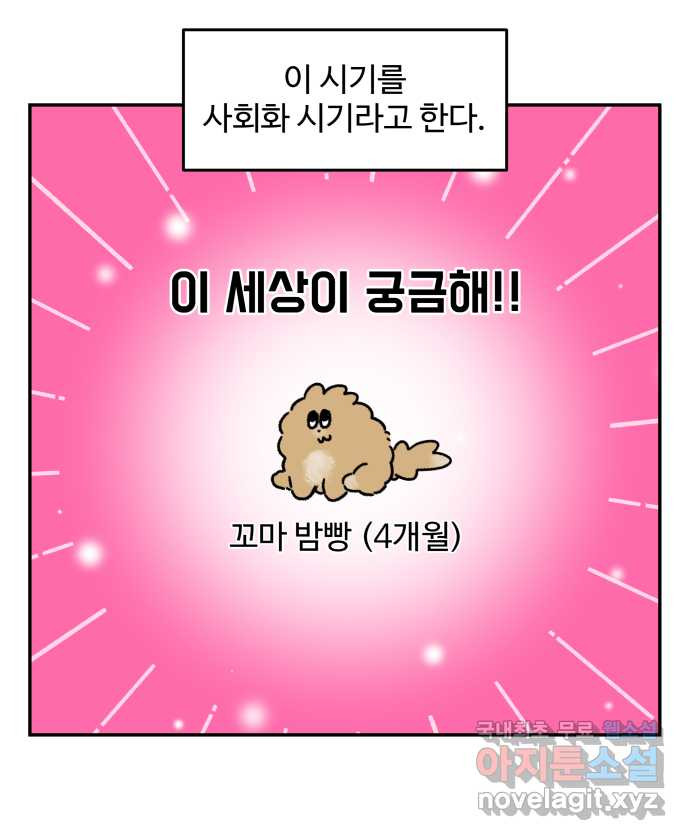 강아지는 멍멍하고 짖지 않아! 69화 - 사회화 시기 - 웹툰 이미지 10