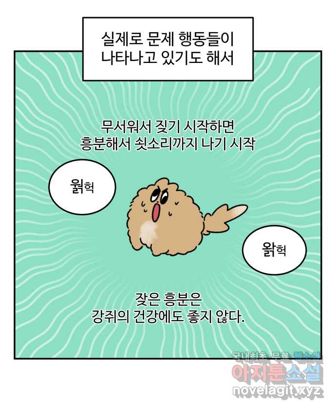 강아지는 멍멍하고 짖지 않아! 69화 - 사회화 시기 - 웹툰 이미지 13