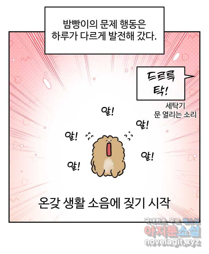 강아지는 멍멍하고 짖지 않아! 69화 - 사회화 시기 - 웹툰 이미지 17