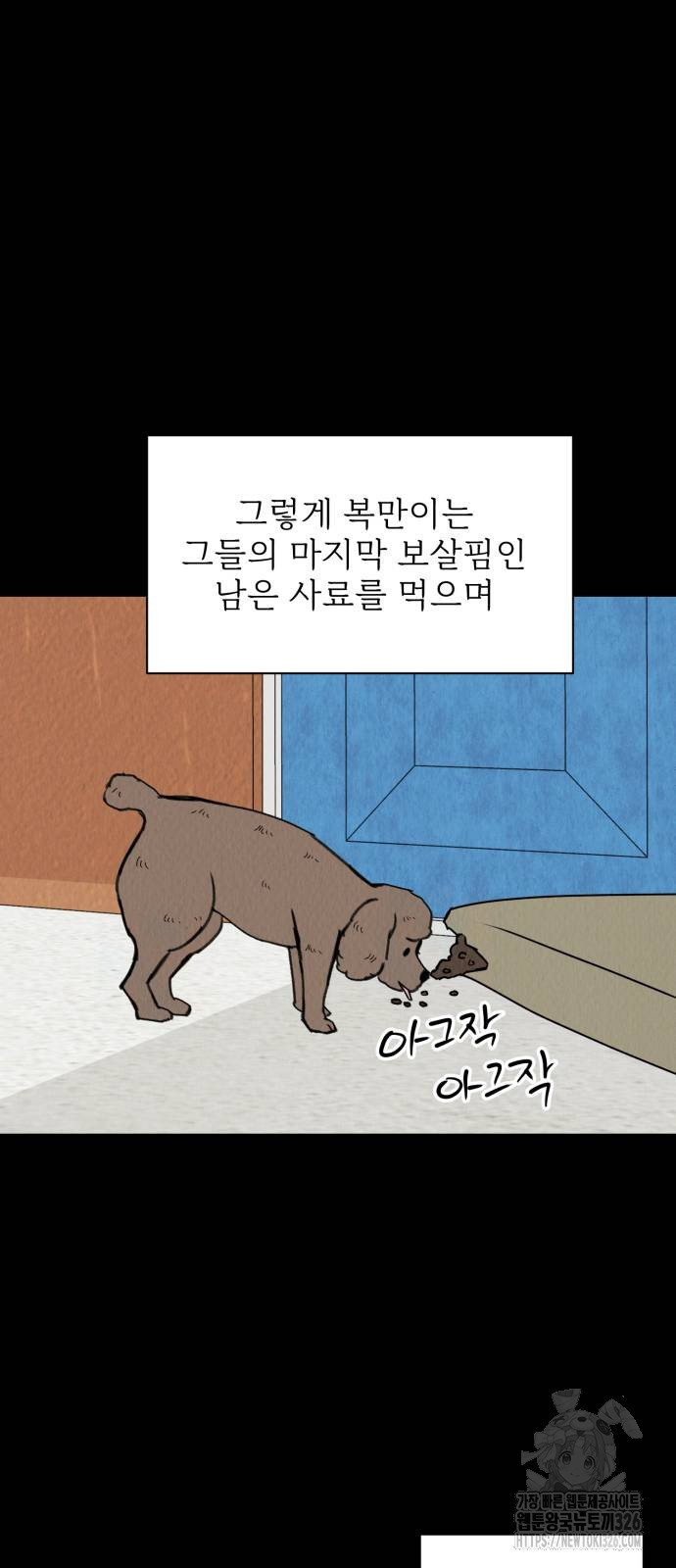 우리 집 고양이 보고 갈래? 58화 - 웹툰 이미지 33