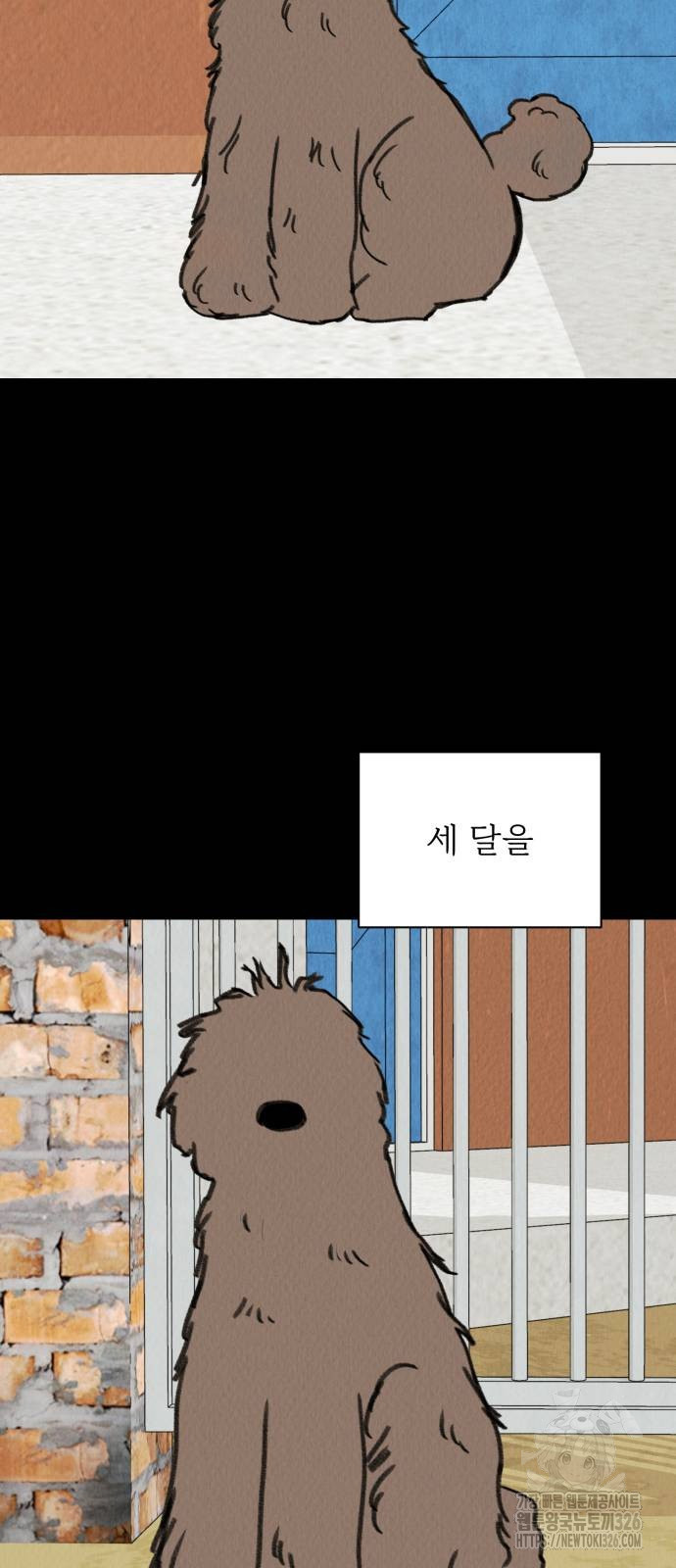 우리 집 고양이 보고 갈래? 58화 - 웹툰 이미지 35