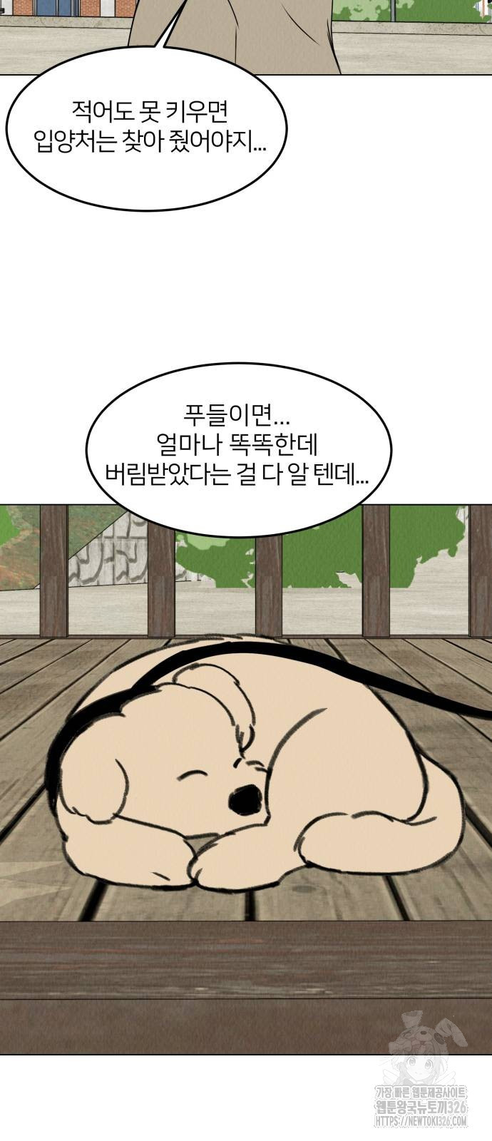 우리 집 고양이 보고 갈래? 58화 - 웹툰 이미지 40