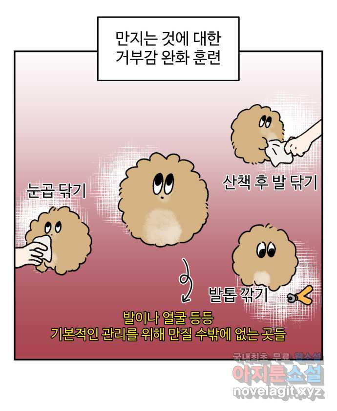 강아지는 멍멍하고 짖지 않아! 70화 - 사회화 훈련 - 웹툰 이미지 4