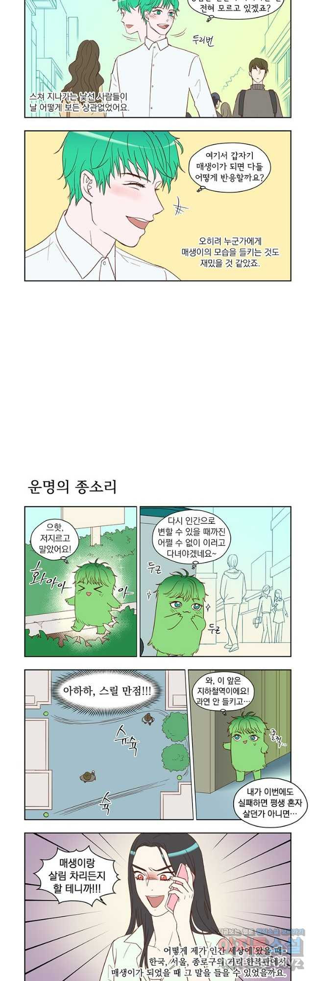 매생이가 나타났다 61화 - 웹툰 이미지 3