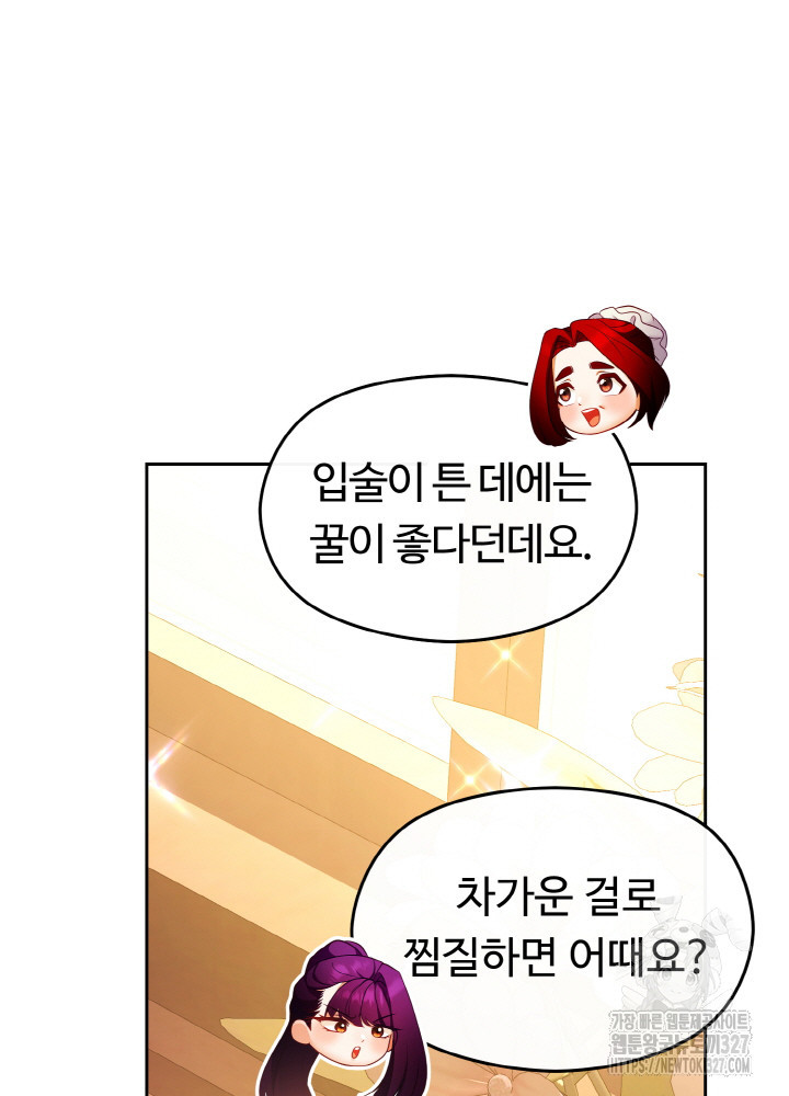 폭군의 위자료를 굴려보자 41화 - 웹툰 이미지 96