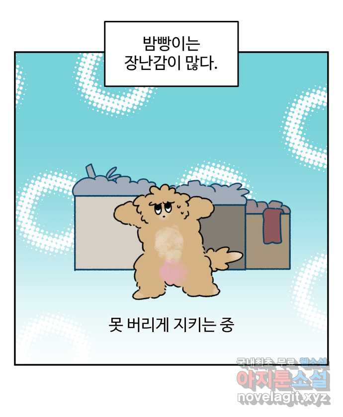 강아지는 멍멍하고 짖지 않아! 72화 - 애착 장난감 - 웹툰 이미지 1